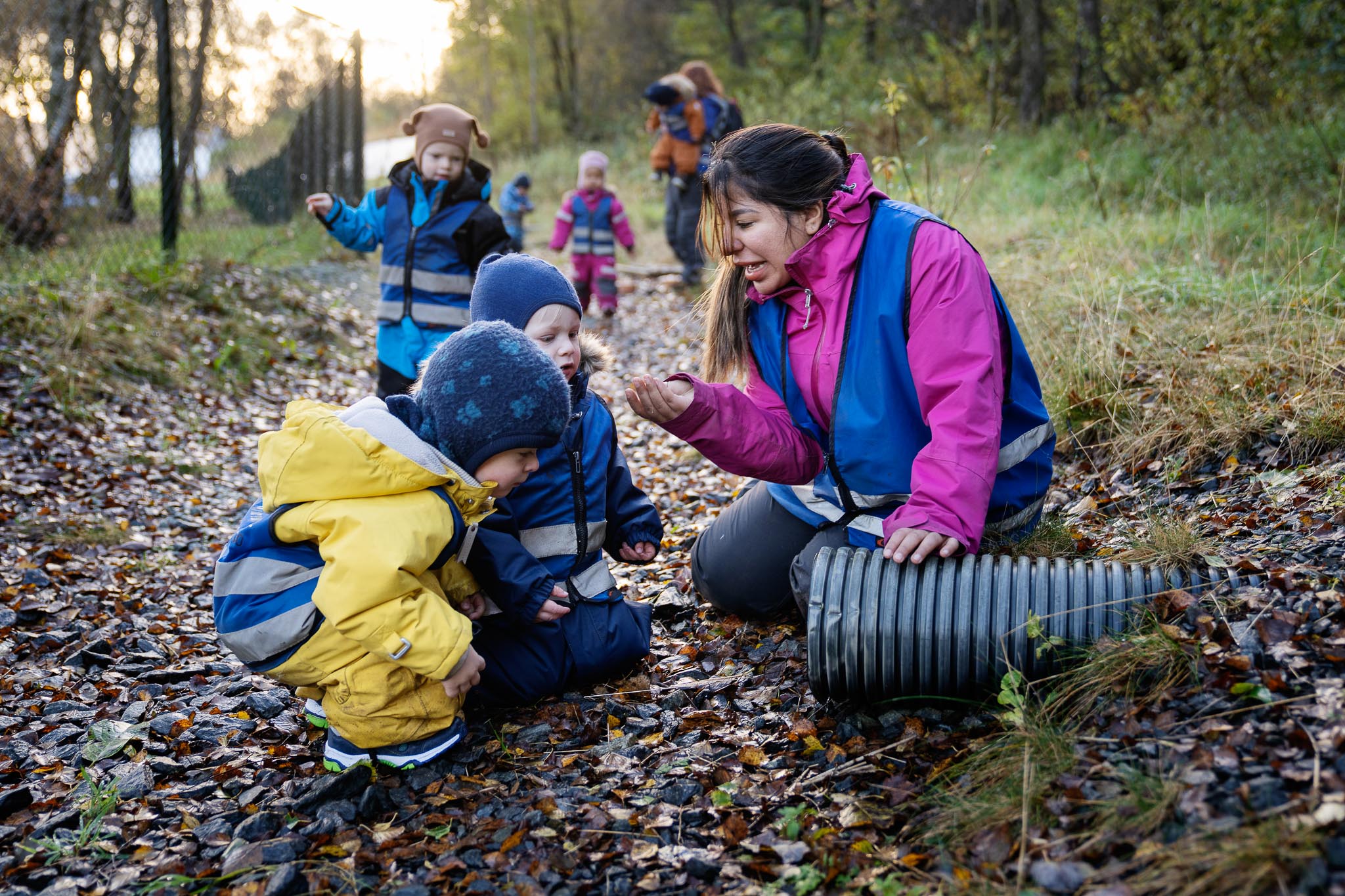 Kvinnelig barnehagelærer er ute på tur i skogen med en gruppe barn. De sitter på huk og ser på noe spennende rundt et rør.