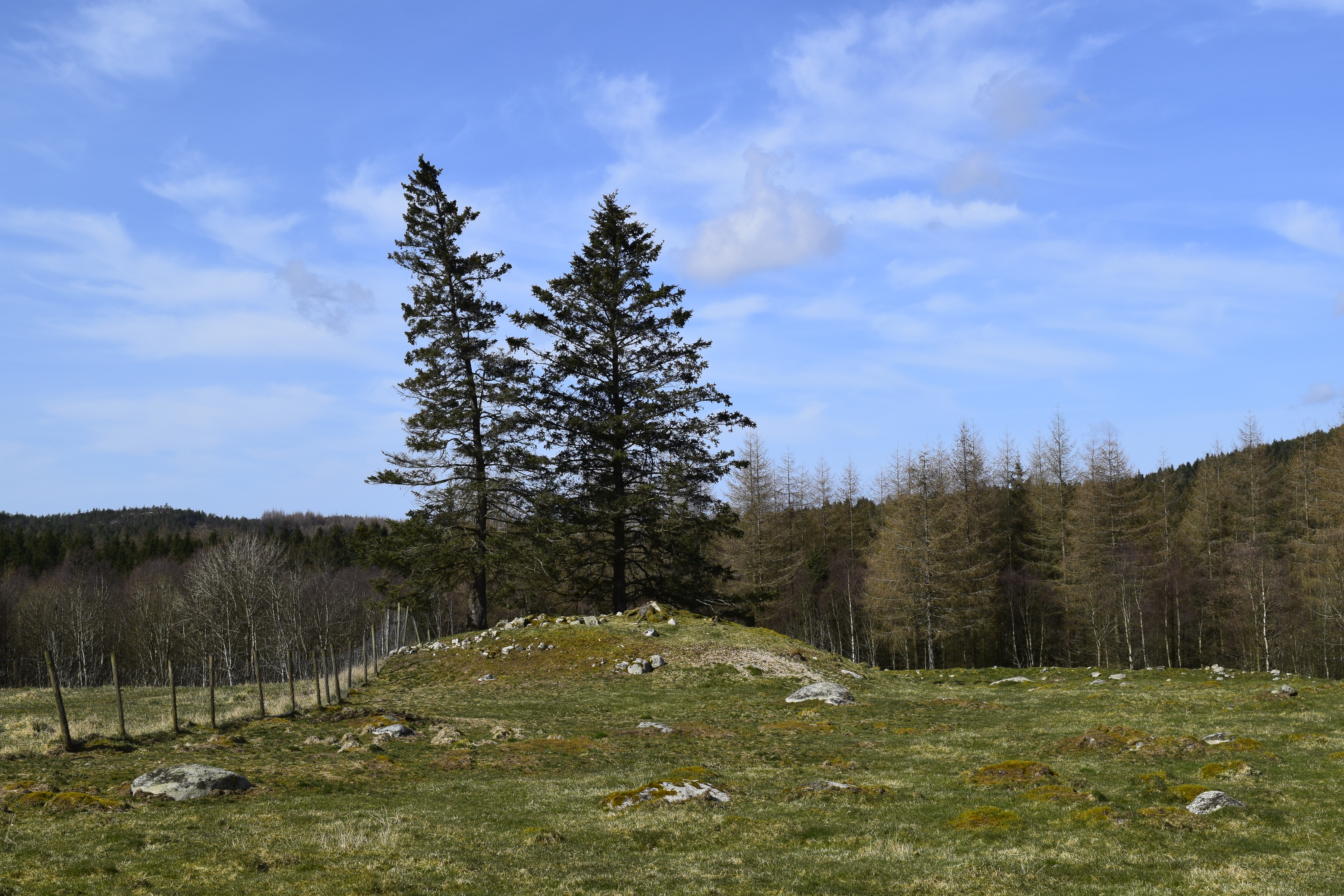 Den største gravhaugen i Klokkar­hagen, rett vest for gårdsanlegget