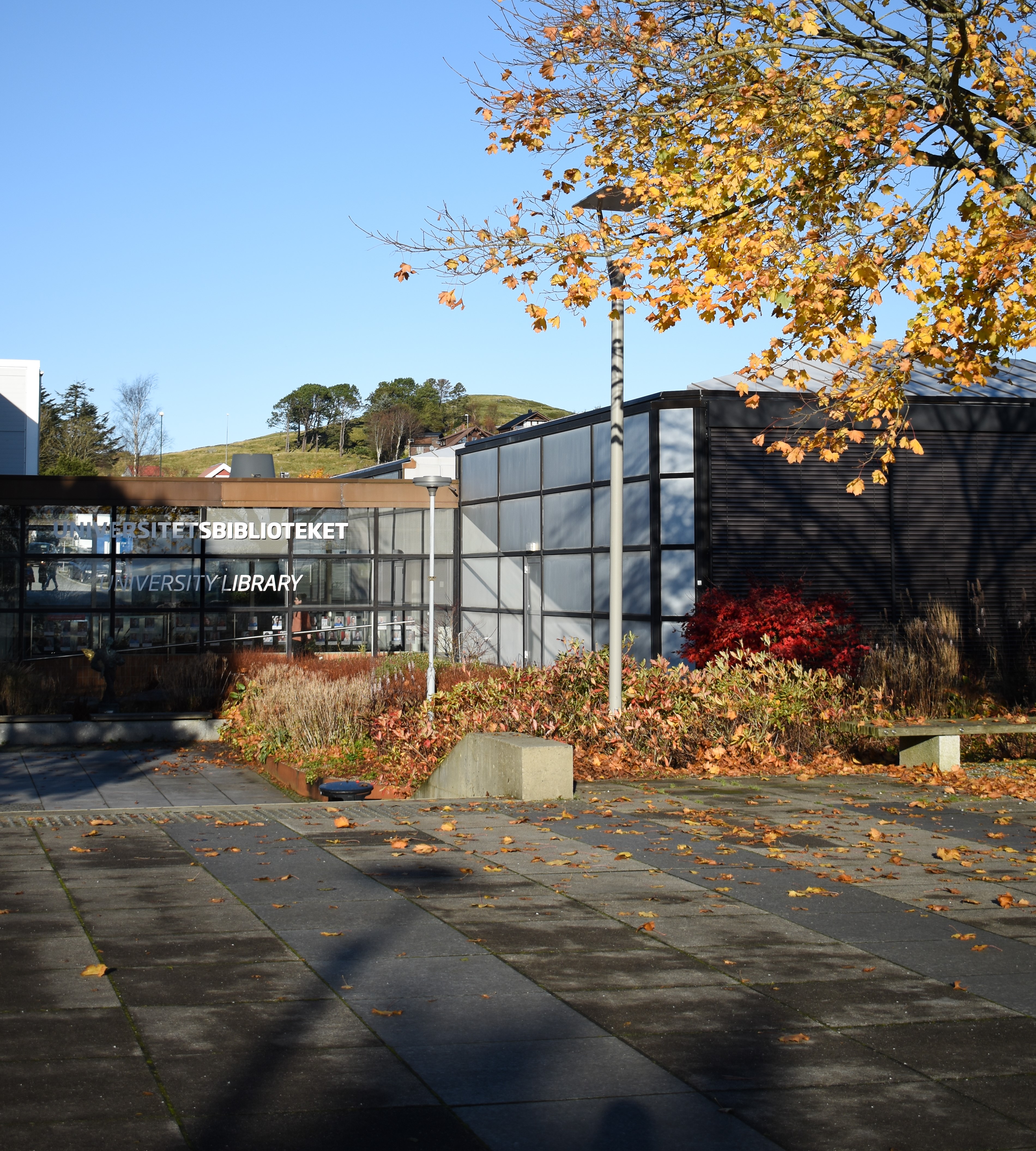 Universitetsbiblioteket i Stavanger