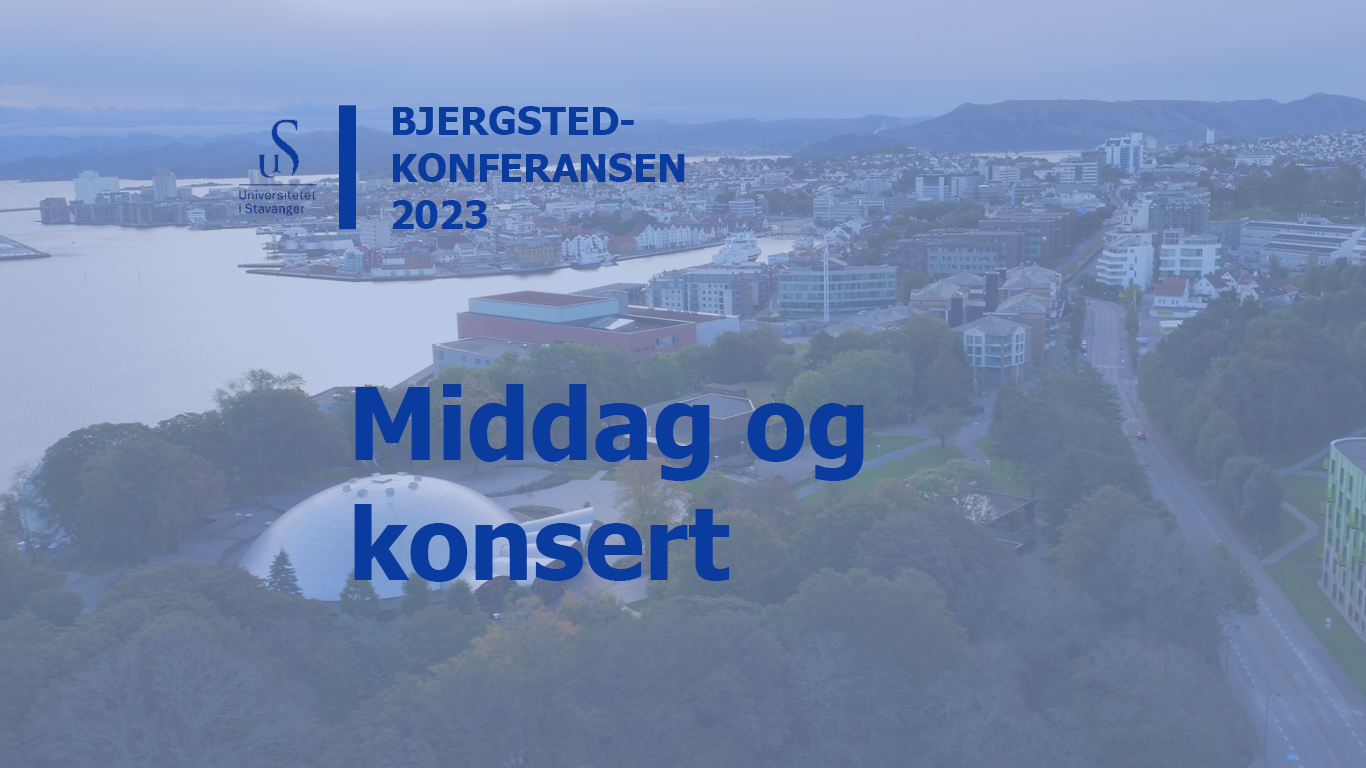 Plakat Bjergstedkonferansen, middag og konsert. Dronebilde over Bjergsted