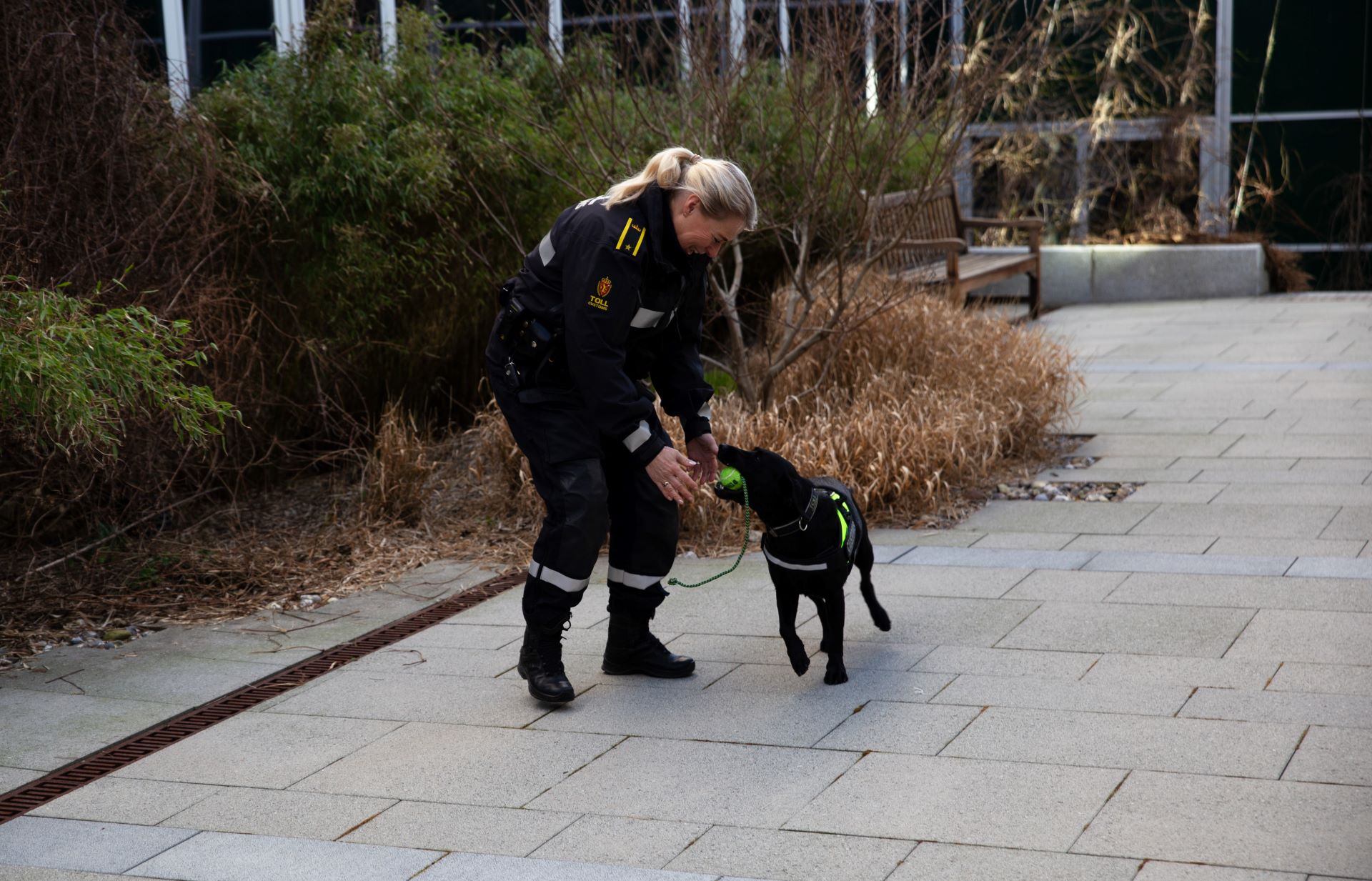 Hund og kvinne fra Tolletaten.