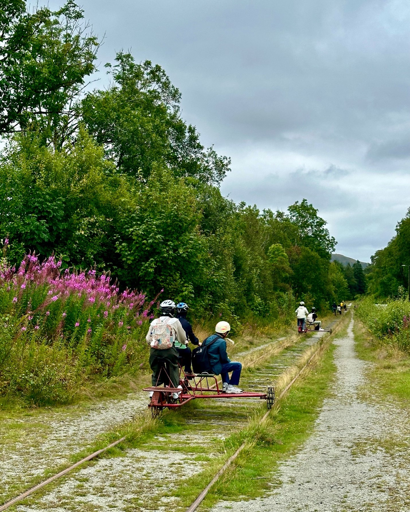 Visiting students cycle along a disused stretch of railway on handcars. A well-grown hedge of vegetation borders both sides of the railway