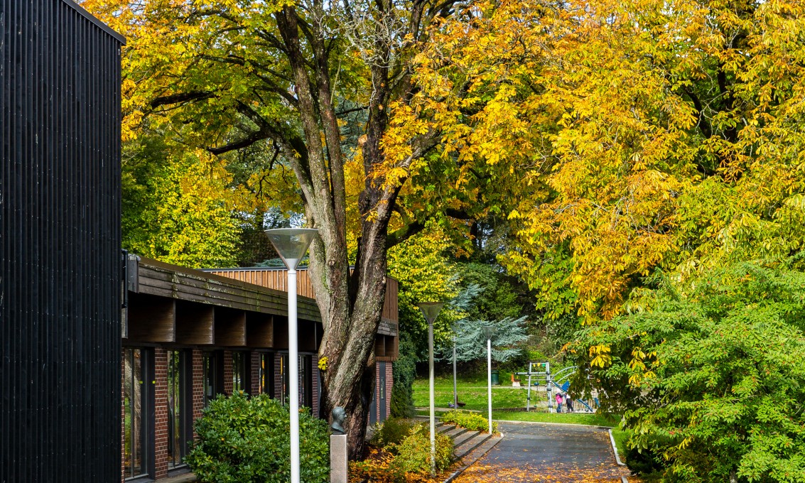 Bjergstedparken om høsten. Foto: Marius Vervik