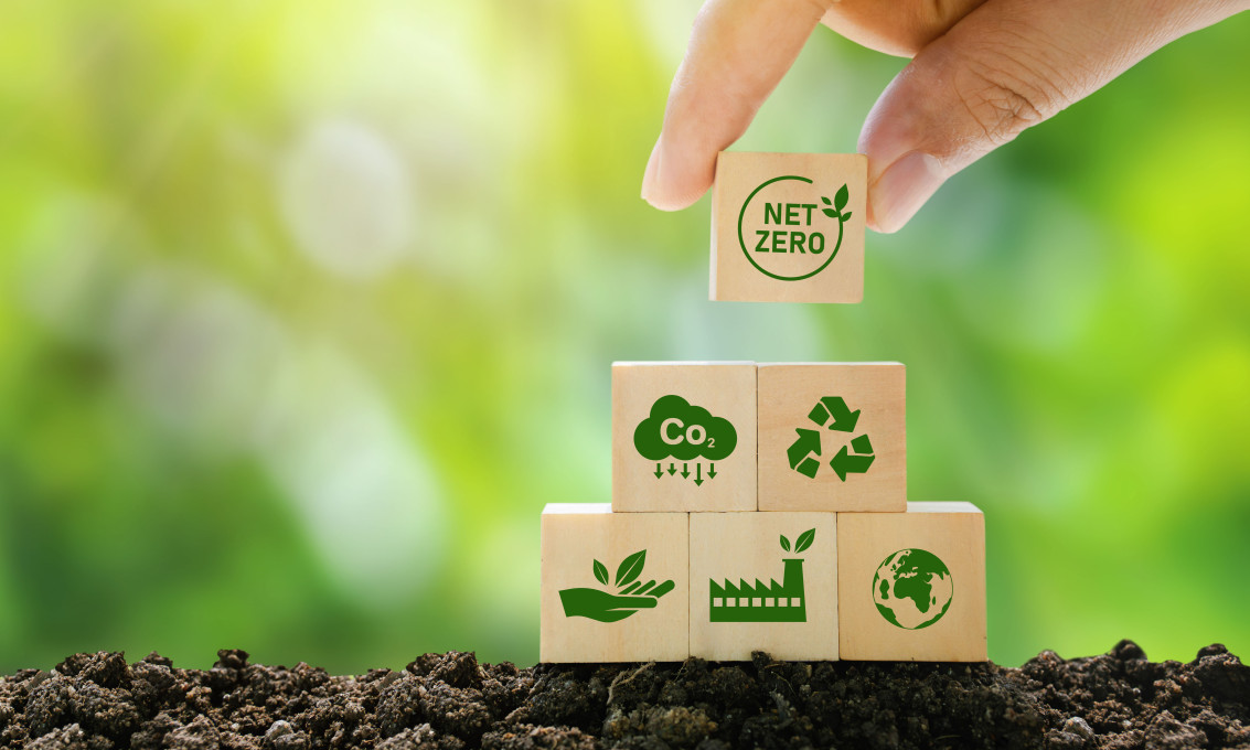 Sustainability Studies