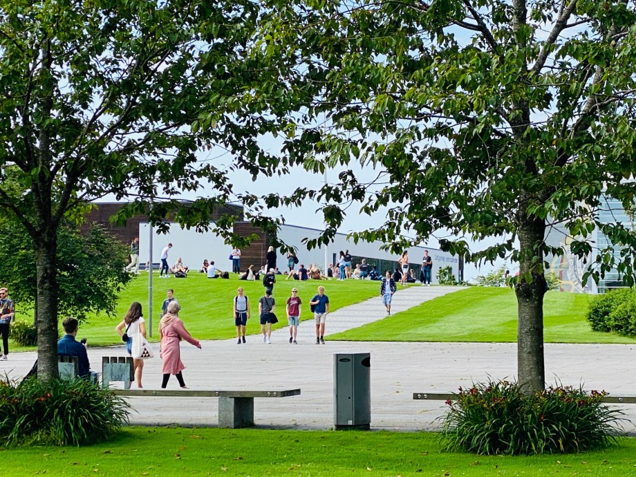 Grønt uteområde på campus Ullandhaug ved semesterstart i august. Grupper av folk sitter på plen.