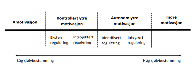 Figur 1 i forskingsnotat kroppsøving