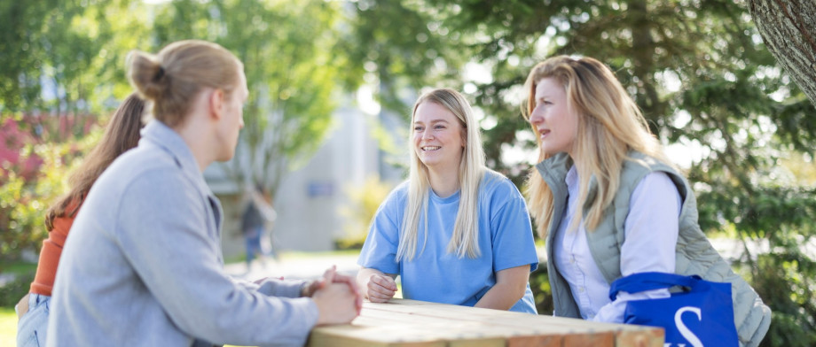 Fire studenter sitter ute rundt et parkbord